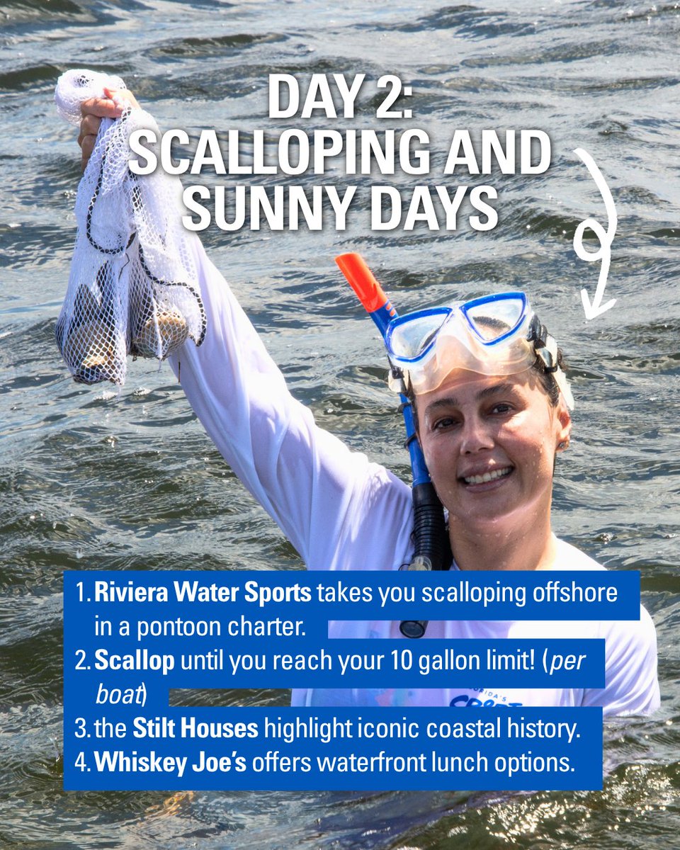 FLSportsCoast's tweet photo. Scallops in the morning, rooftop views at sunset, riverfront vibes all day, and axes flying at night 😎🌊🎯 New Port Richey brings the energy every step of the way.

Tag your travel buddy and start the adventure 🌴🔥
#FSC #FLsportscoast #NewPortRichey #Scalloping #FloridaTravel https://t.co/0etbKTvriV