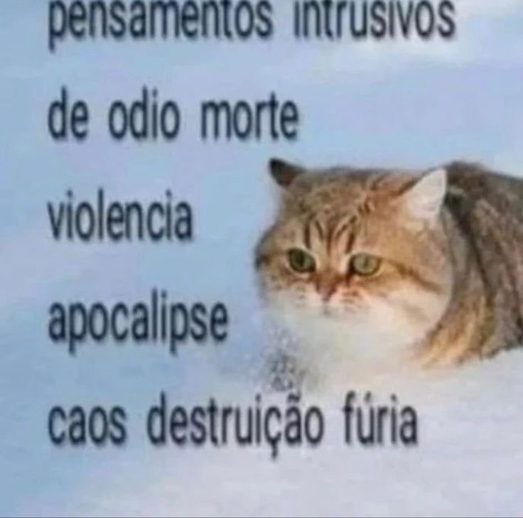 shitpostverdade's tweet photo. https://t.co/uXKGsll27k