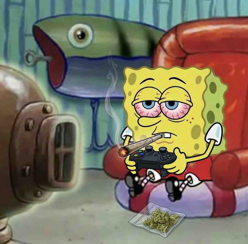 CocoAfrica69's tweet photo. Stoners be like “sorry I’ve already got plans this weekend”
 
“The weekend:” https://t.co/IOQO645yWO
