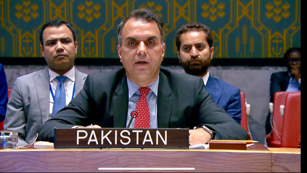 Pakistan Advocates for Peace in South Sudan: A Comprehensive Strategy for Stability
