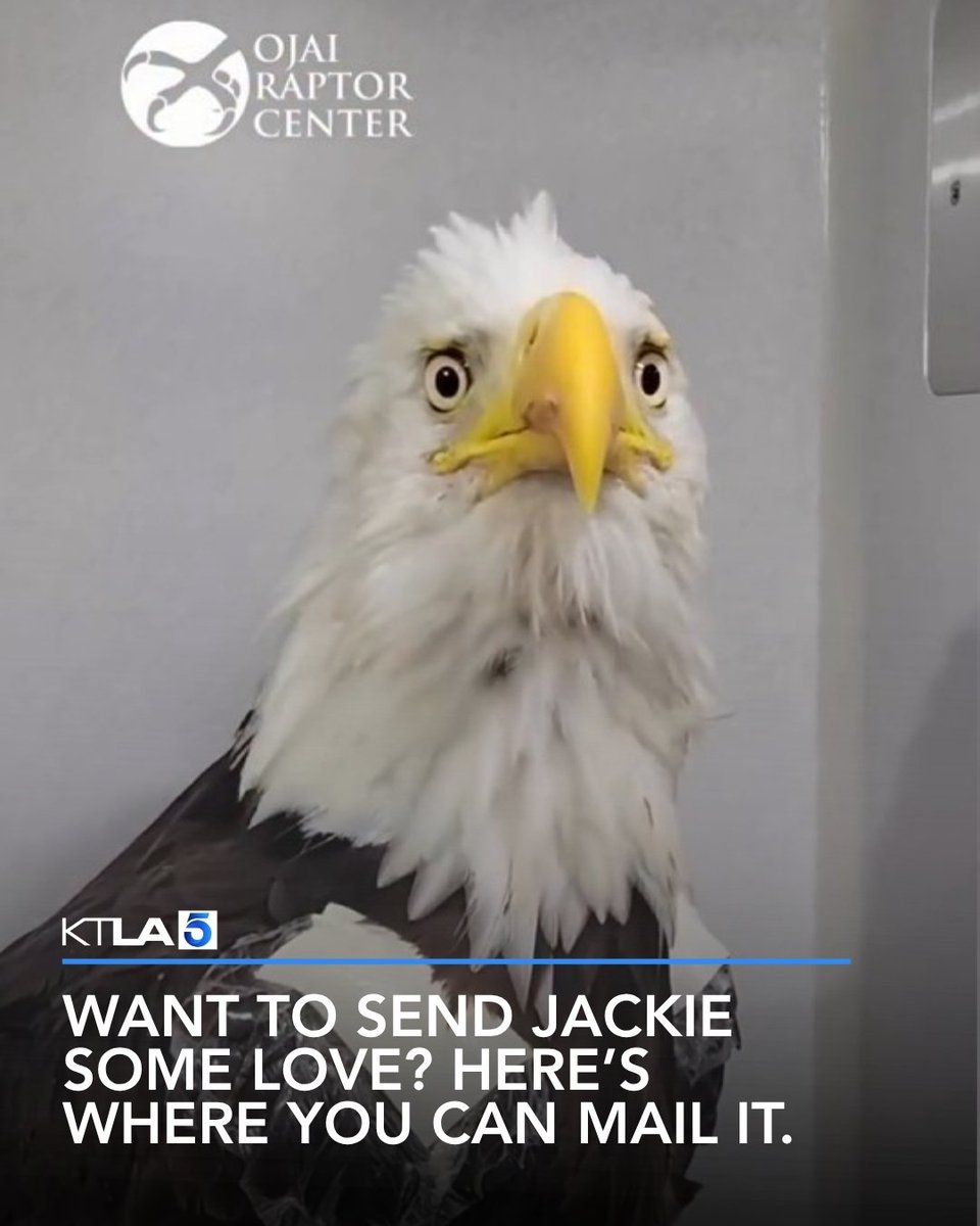 KTLA tweet picture