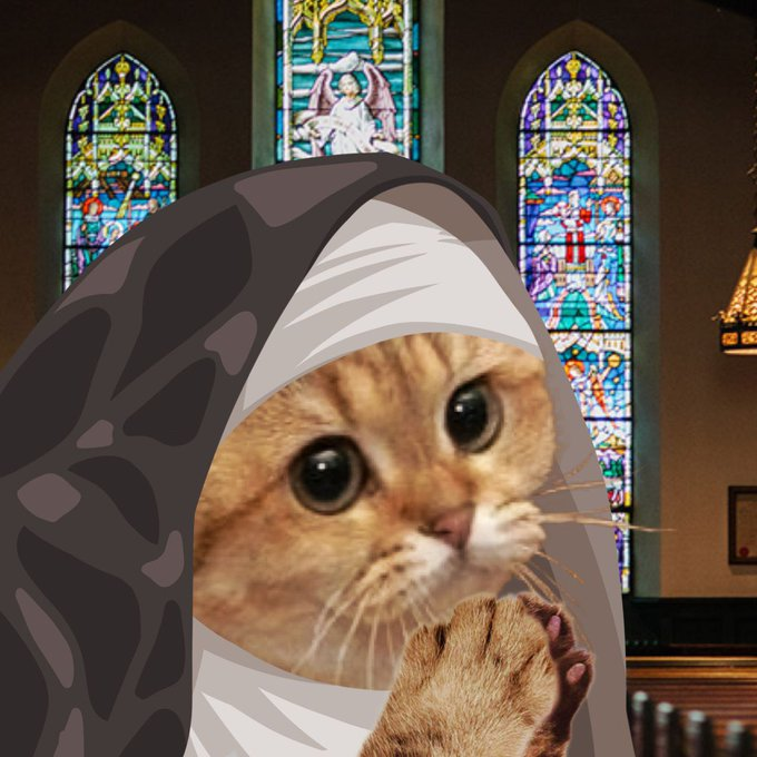HeliaOnSolana's tweet photo. The cat that started everything...  $HELIA The Holy https://t.co/MYdhw7iFOh