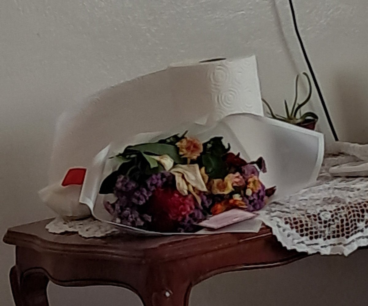 donntt0's tweet photo. çok şanslı çünkü o benim ilk çiçeğim 🙂‍↕️🙂‍↔️💆🏾‍♀️ https://t.co/kpovktNaIU