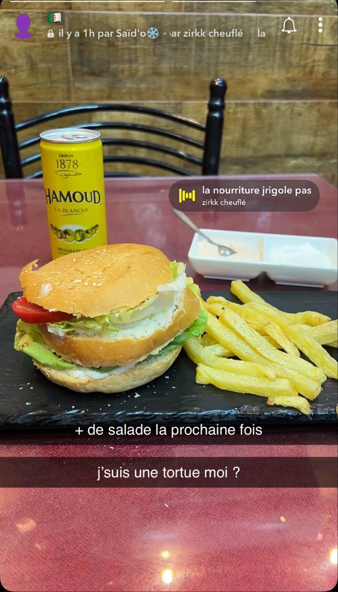 BiggizV2's tweet photo. Je préfère sauter d’un pont que manger un burger comme ça https://t.co/CrdU7VK5n5