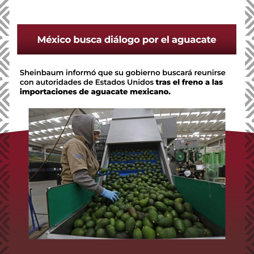 4taTransforma's tweet photo. 🚨 ¿Te perdiste la mañanera de hoy?

Te contamos lo más importante en menos de un minuto: el debate sobre el fracking, el diálogo con EE. UU. por el aguacate mexicano y la postura de Sheinbaum sobre la visita del Papa León XIV. 🇲🇽👀

¿Cuál de estos temas crees que tendrá mayor impacto? 💬

#4taTransformacion #Mañanera #México #Noticias