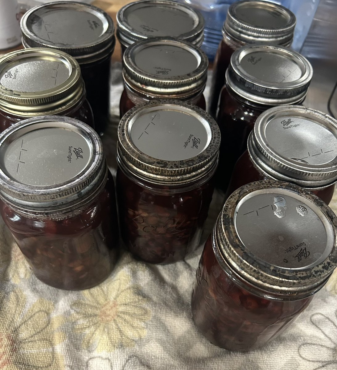 JustAmyMcC's tweet photo. Day 6:
Every Bit Counts Challenge

One bag of beans made 10 jars of black beans. It’s so easy to have these ready for taco Tuesday nights. 3 ingredients beans, salt, and water! 

Staying away from the “product” stores and starving the system! 

#EveryBitCountsChallenge for the month of August. Please share all of your preserving this month too.