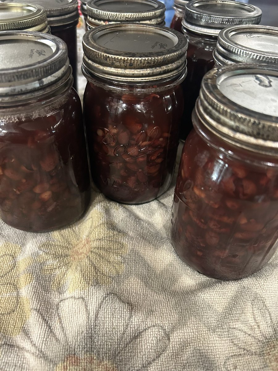 JustAmyMcC's tweet photo. Day 6:
Every Bit Counts Challenge

One bag of beans made 10 jars of black beans. It’s so easy to have these ready for taco Tuesday nights. 3 ingredients beans, salt, and water! 

Staying away from the “product” stores and starving the system! 

#EveryBitCountsChallenge for the month of August. Please share all of your preserving this month too.