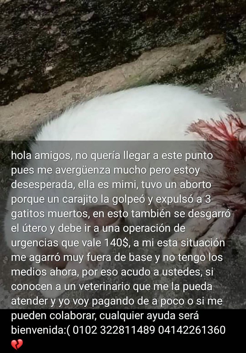 A64029345's tweet photo. CASO TERCEROS SOLO DIFUNDO https://t.co/KNz6lcfONK