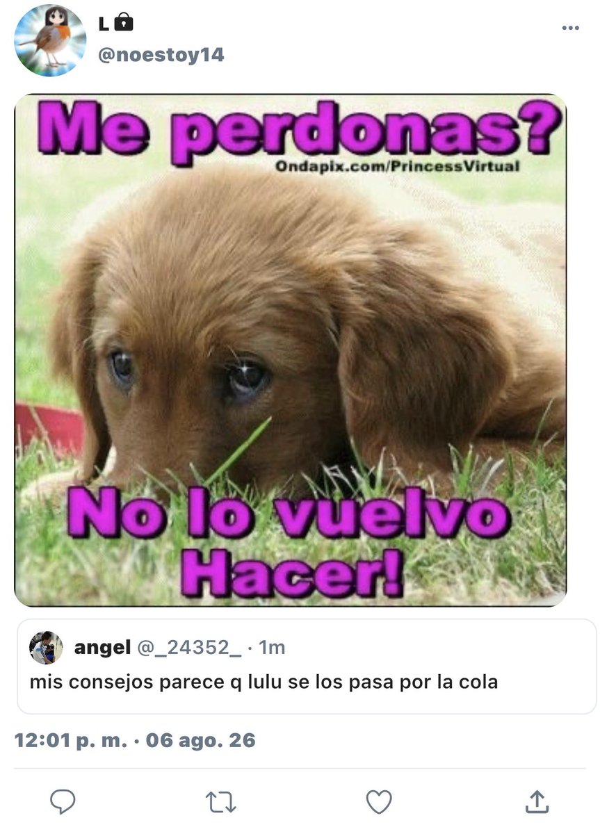 mieultopiaa's tweet photo. reposteado https://t.co/vUzcAHF6yZ
