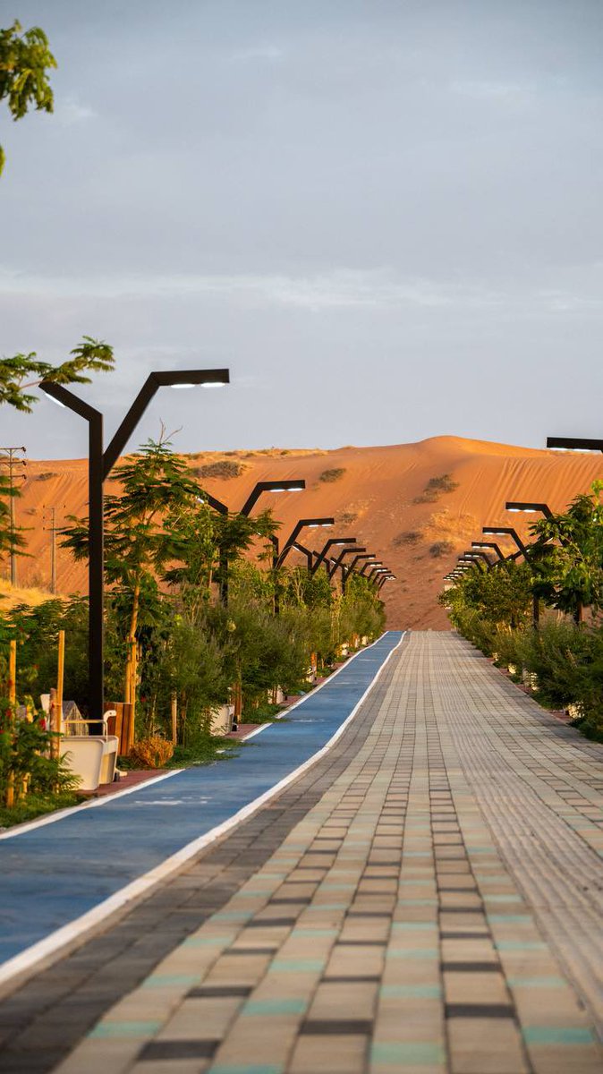 ahmadalmuhsn's tweet photo. في #حائل.. للجمال تفاصيل مختلفة، أجواءٌ تأسر القلب، وطبيعةٌ تمنح المكان سحره الخاص، وسماءٌ تفتح للروح نافذةً من الهدوء.

هنا.. لكل لحظة جمال، ولكل مكان حكاية. 
📸 : @abodalmny3 https://t.co/eIbeQHb0gM