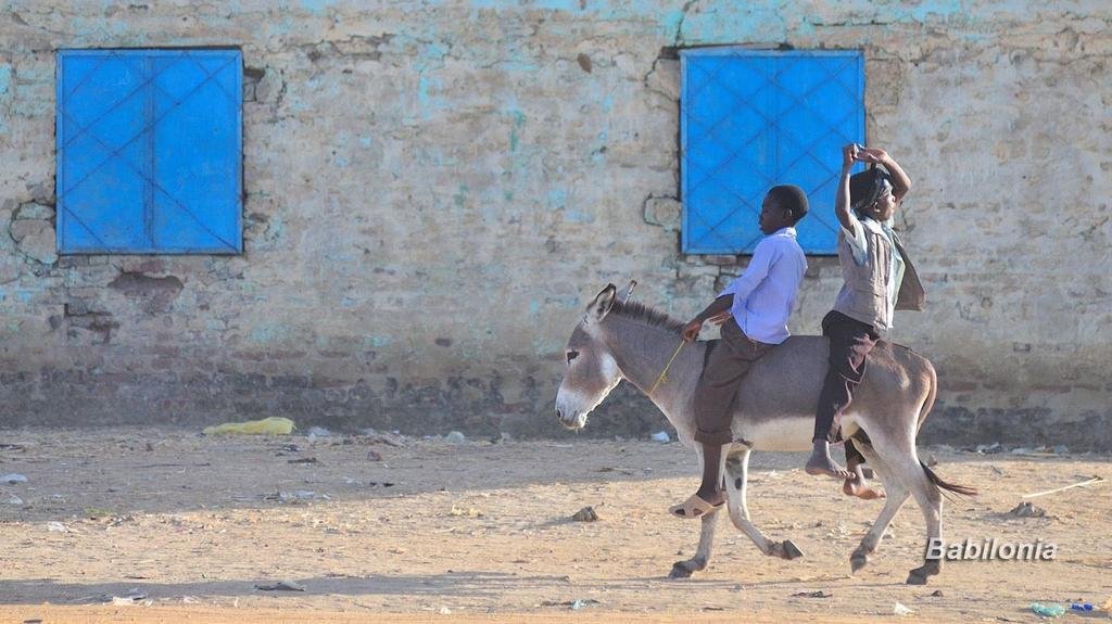 SudaneseCulture's tweet photo. Children's from the Countryside - Sudan.

#SudaneseCulture
#ثقافة_سودانية https://t.co/8b5gDnY7kw