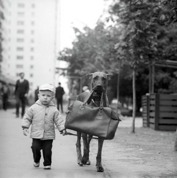 eastblocvisuals's tweet photo. Kyiv, Ukrainian SSR, 1975. https://t.co/50ZWL6IyNN