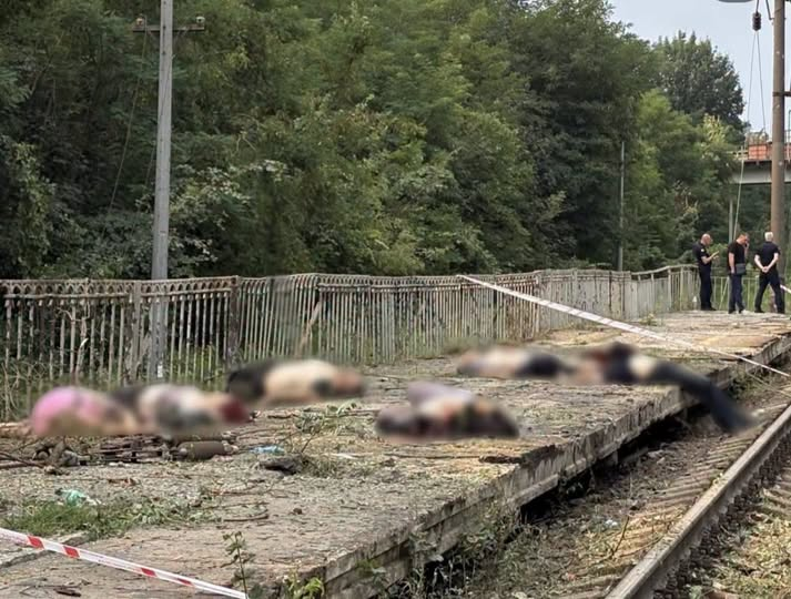 i_iangg's tweet photo. Kiew. Station „Kwitnewa“. Menschen, die auf den Zug warteten.

⚠️ Die russischen Barbaren kotzen mich an. https://t.co/44nrlyHfG6