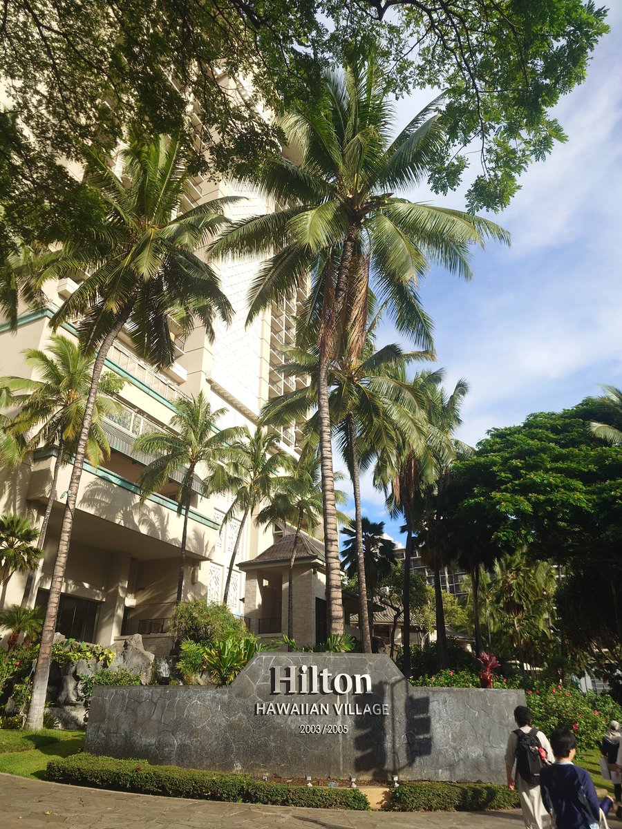 arekusei_00's tweet photo. ハワイ満喫なう🌺🌴 https://t.co/WHJUiskGHt