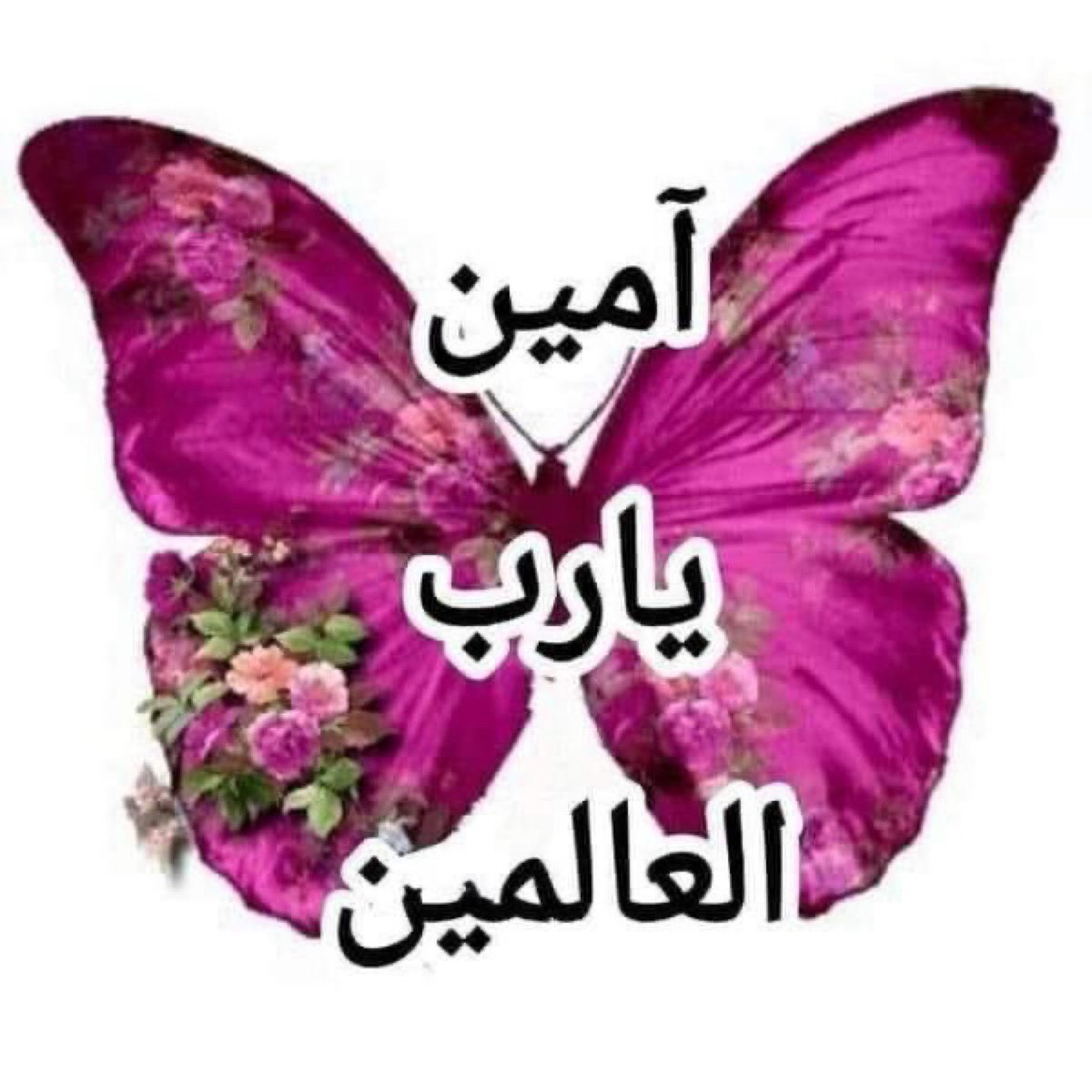 munaqatar202's tweet photo. @GoldenEaglef15c https://t.co/od9pvjYoQE