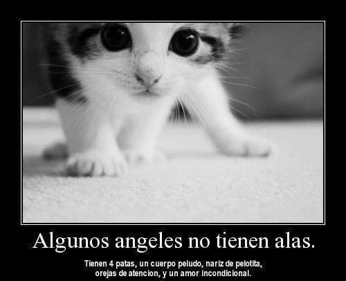 coolfunnnn's tweet photo. muy cierto… https://t.co/MFLspJ2C8o
