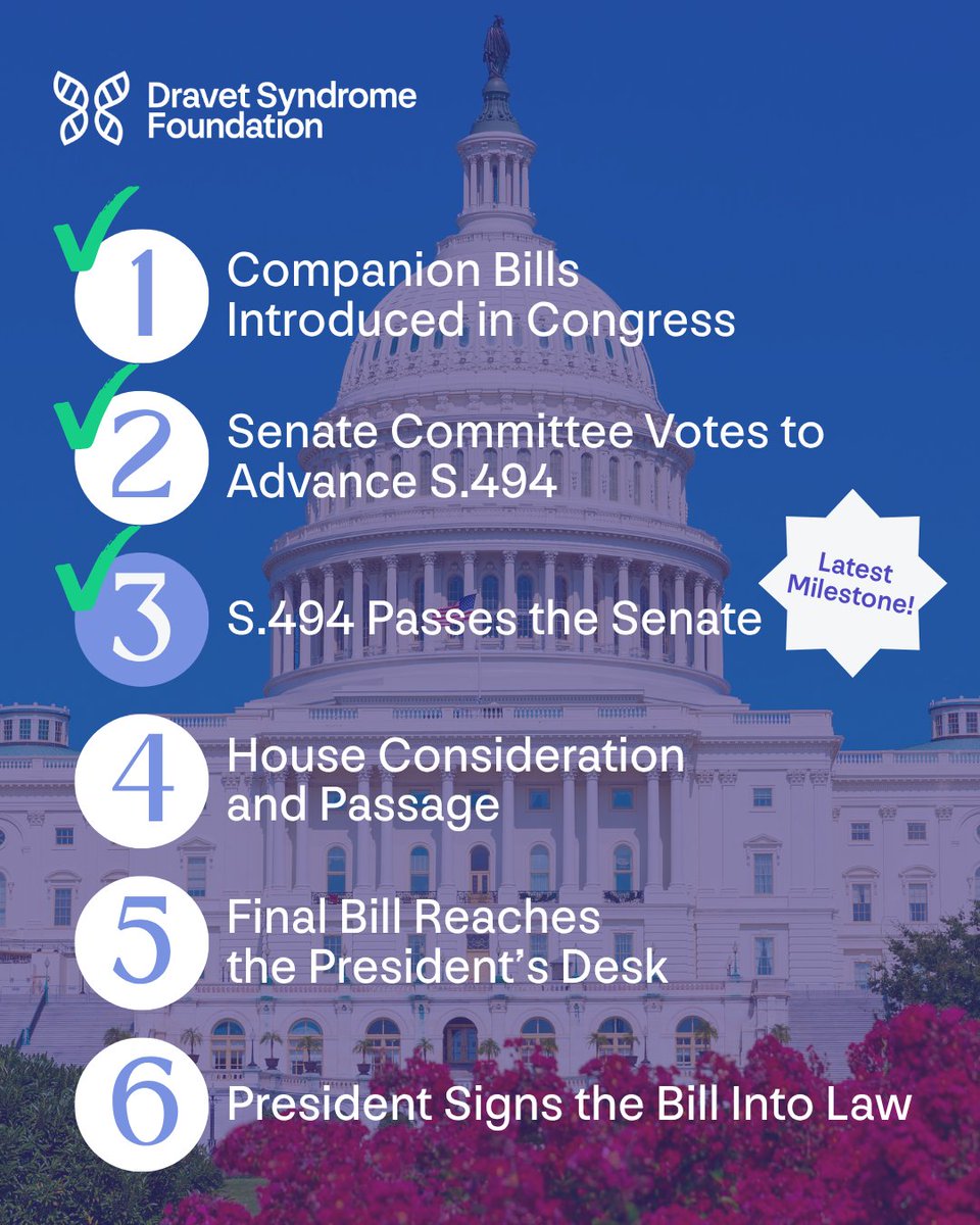 curedravet's tweet photo. 📣 Great news: The National Plan for Epilepsy Act passed the U.S. Senate! This bipartisan milestone could strengthen epilepsy research + care, including for families affected by Dravet syndrome. Urge your representative to support it ➞ https://t.co/irOAAl0yHX #DravetSyndrome https://t.co/orB0dK6xmV