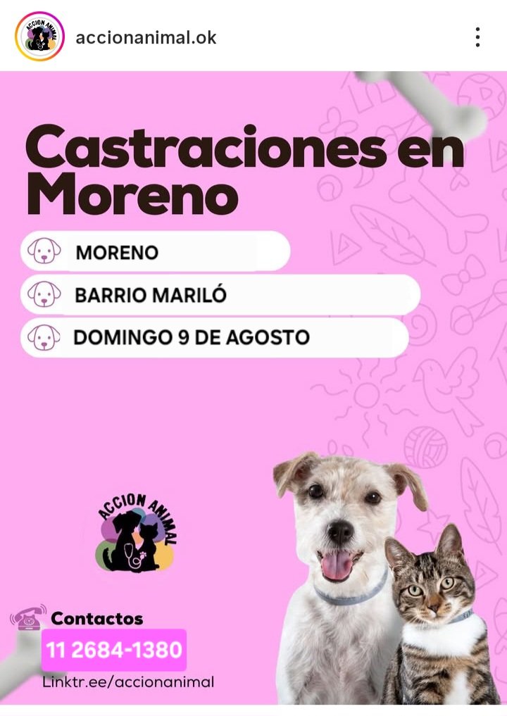 protegealanimal's tweet photo. MORENO
#MORENO #SANJORGE #MARILÓ #JARDINES1 #LAPERLITA #SAMBRIZZI #ELCAÑÓN #LASFLORES #SANTABRÍGIDA #PASODELREY #BONGIOVANNI #TRUJUI #BARRIO4VIENTOS #MALAVER2 #CUARTELV #LAREJA #VILLASALAS #LAREJAGRANDE #BARRIOPARQUE #FRANCISCOÁLVAREZ #ZONAOESTE #GRANBSAS #BSAS #CONURBANO https://t.co/AZBalsxd3Q
