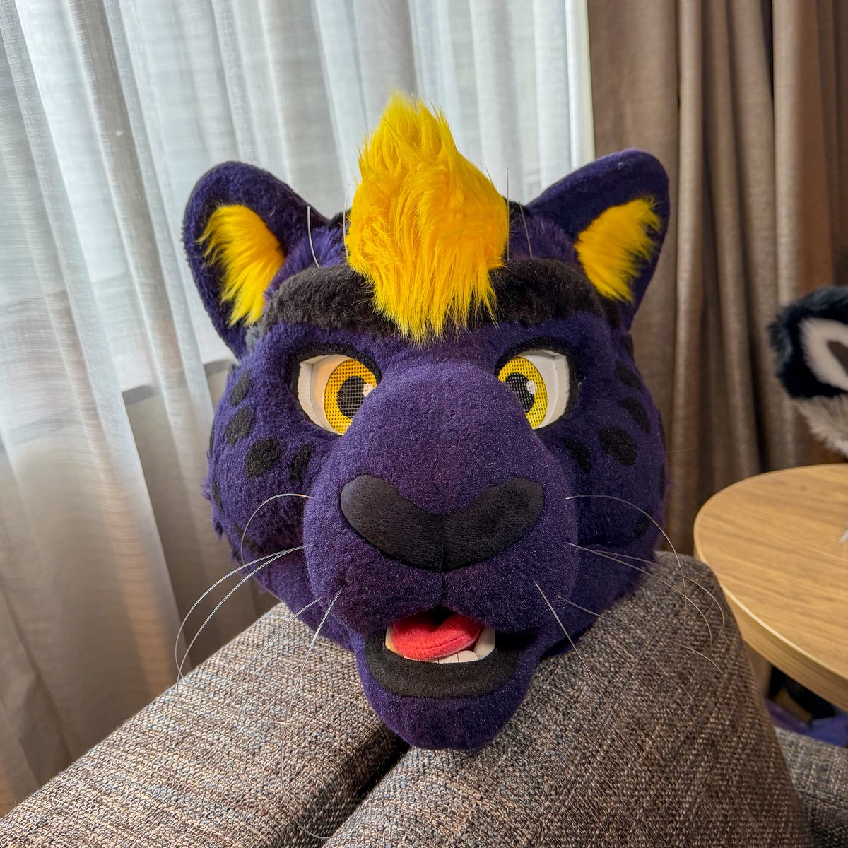 FinnThePanther's tweet photo. The kitty has arrived in Philadelphia!

#Furrydelphia2026 https://t.co/4WPQ3wSyOe