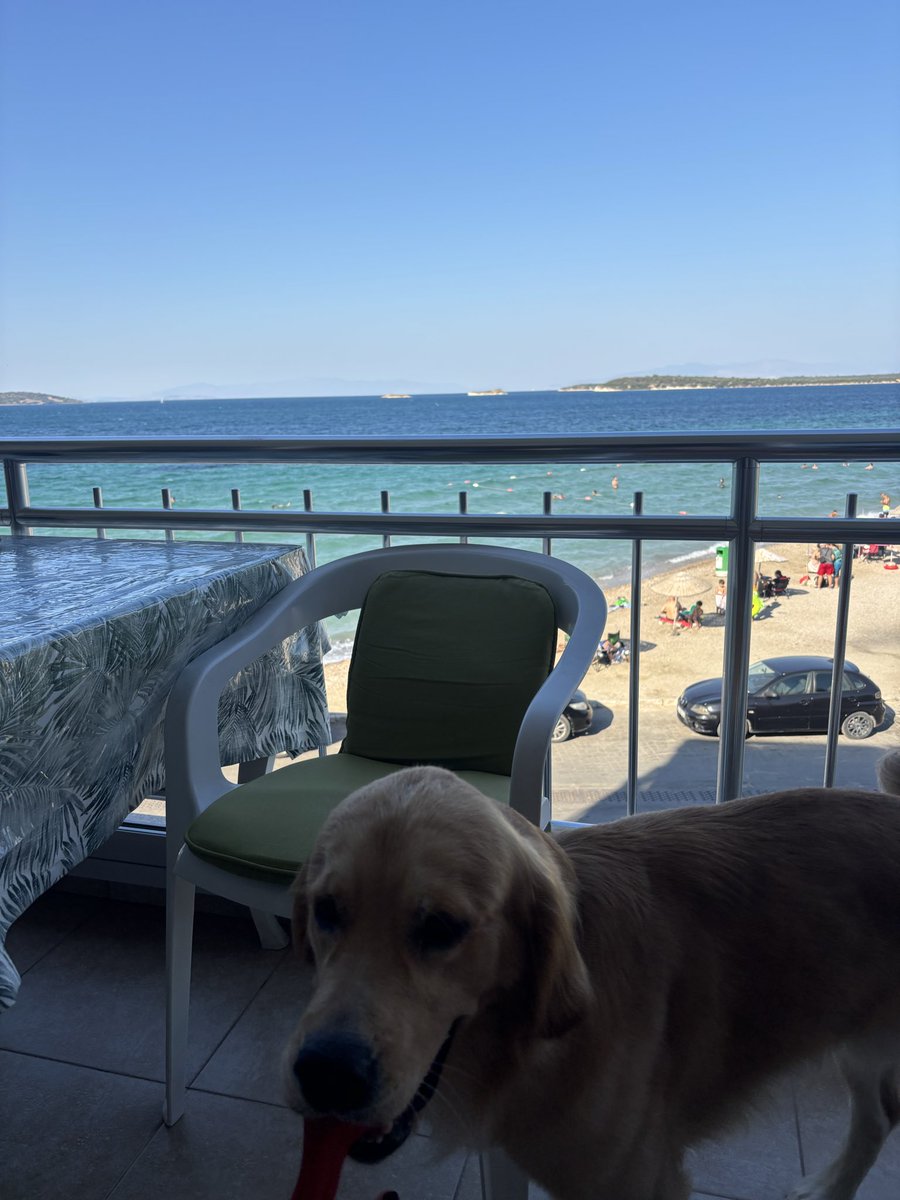 burc517's tweet photo. Jordan, Hamburger ve deniz https://t.co/DSW04vqlCl