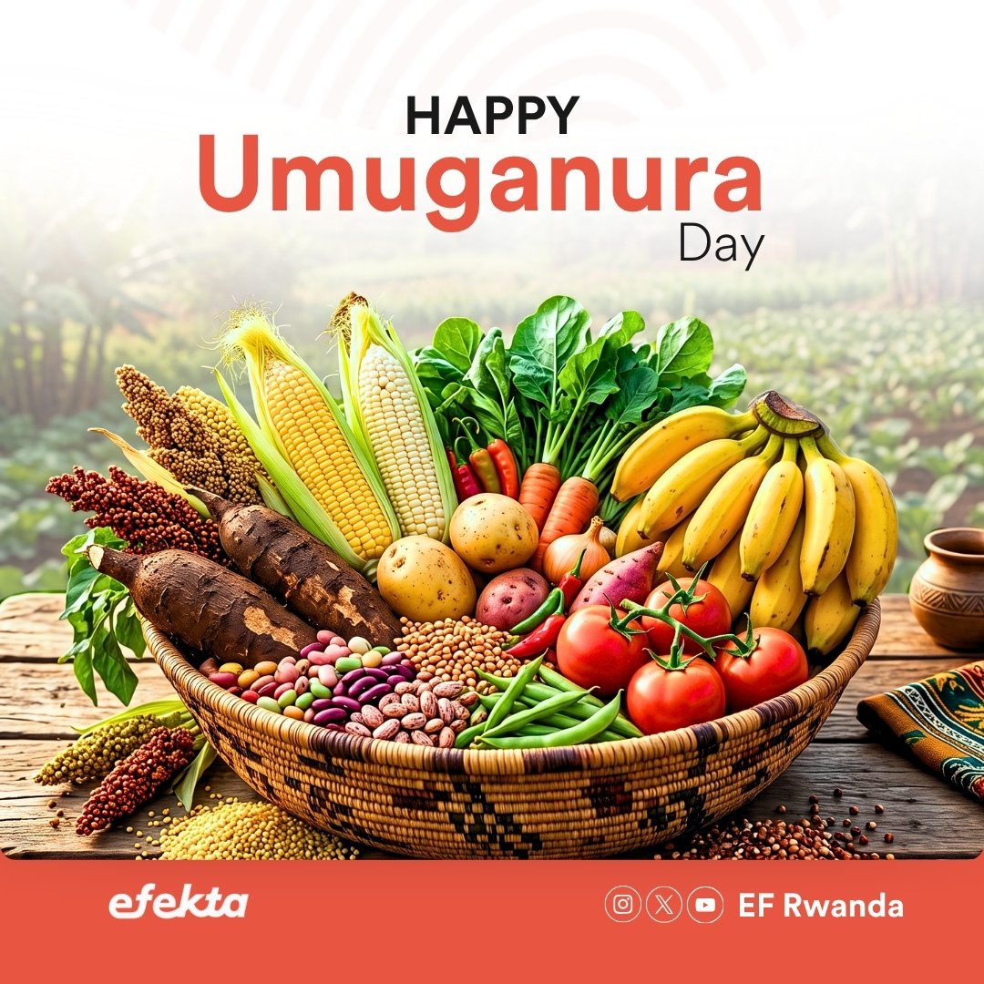 EfRwanda's tweet photo. Happy #Umuganura Day to all Rwandans.

Today, we celebrate Umuganura, a source of unity and a foundation for self-reliance. May this tradition continue to inspire gratitude, collaboration, and collective progress.

#Umuganura2026 https://t.co/SLsrLXdZW9
