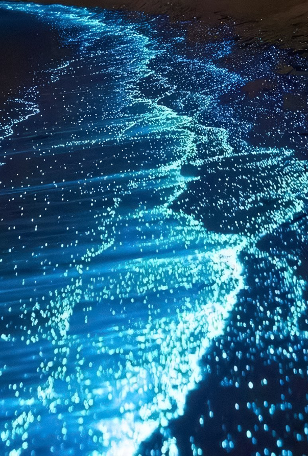petalesblancs's tweet photo. waves made of stars ✨ https://t.co/v1OeKviwXW