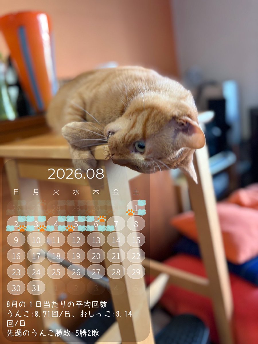 systemneco's tweet photo. おはよーにゃん💕
角っこガジガジしてるとこ😽

うんこ出たどー💪
今週はすでに4勝したよ👍
がんばるどー💪

今日もよろしくにゃん💕

#1シェア1ライフ
#エステー保護ネコ応援プロジェクト

https://t.co/JwCriO6Lni
#猫好きさんと繋がりたい
#猫のいる暮らし https://t.co/EeWwcWu5Gk