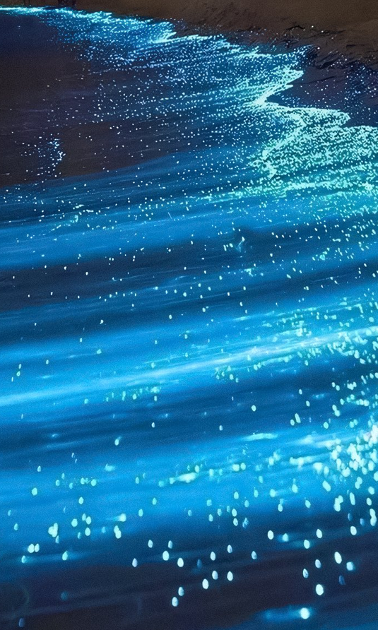 petalesblancs's tweet photo. waves made of stars ✨ https://t.co/v1OeKviwXW