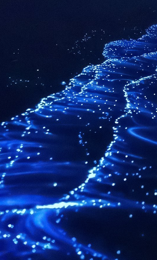petalesblancs's tweet photo. waves made of stars ✨ https://t.co/v1OeKviwXW