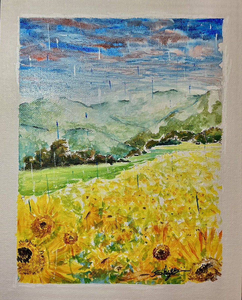 Sunflower field. It's rainy today.(向日葵畑。今日は雨模様)〜 今朝