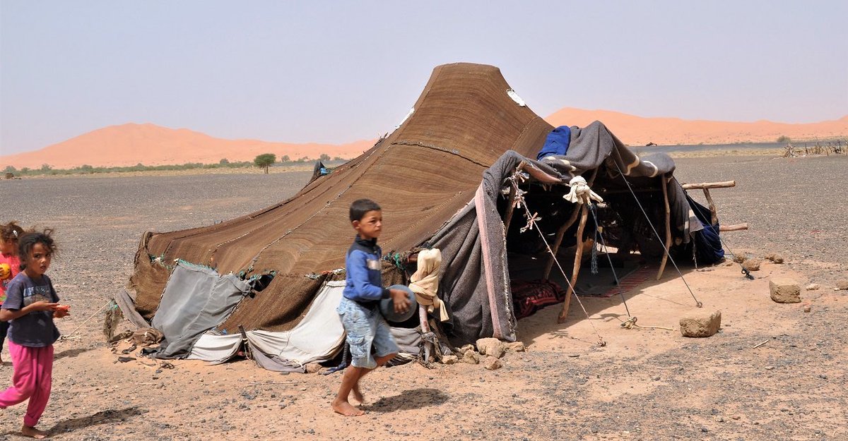 ThomasMannda's tweet photo. @chirac1962 Architecture marocaine dans le Sahara espagnol https://t.co/Ayxds9gU9L