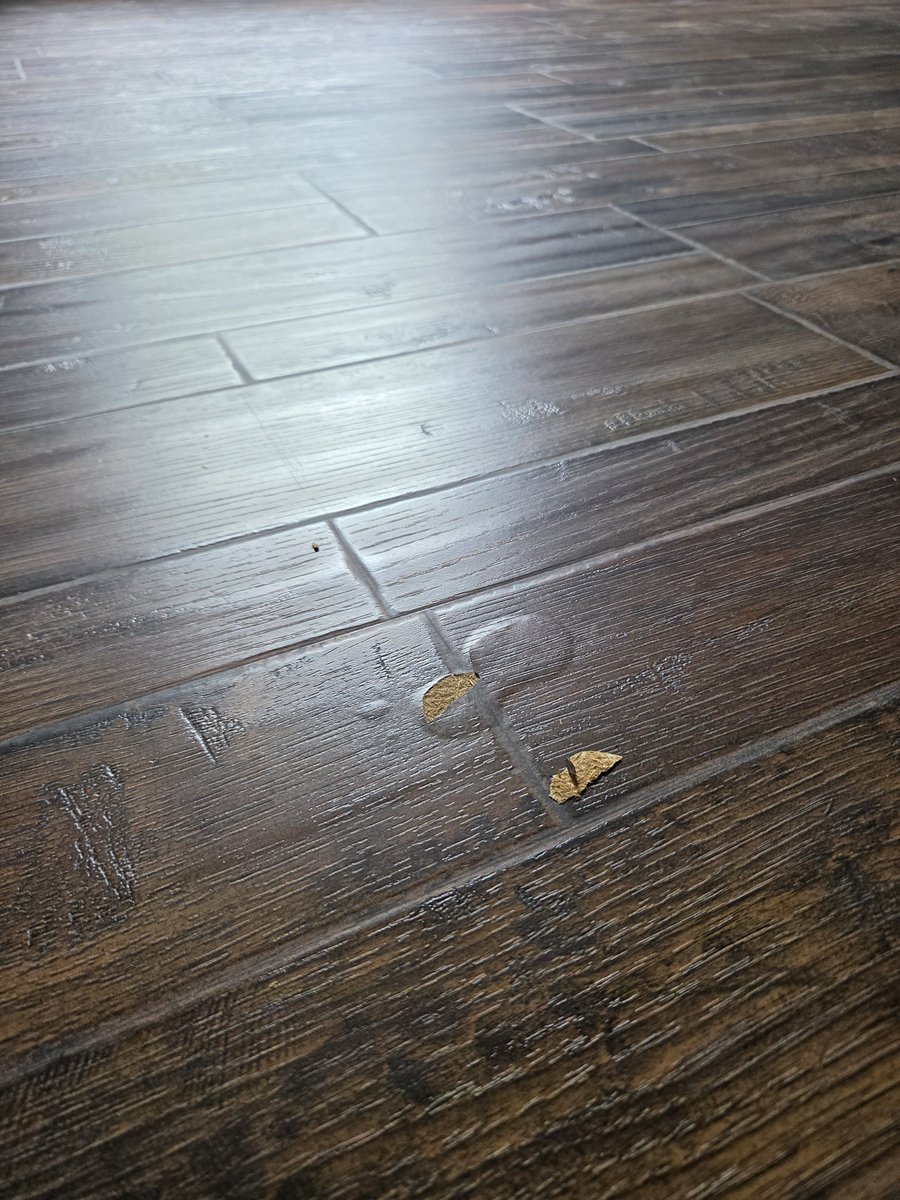 supergarrett259's tweet photo. Hey so question. Bought 600sqft of this outlast+ somerton auburn 12mm flooring. Installed it YESTERDAY 8/5.  Woke up today to this bubble in the middle of the floor in just laid. It's not on a seam and its in the middle of a board.  What is this and why did it happen?
@pergo https://t.co/fynIL5azTr