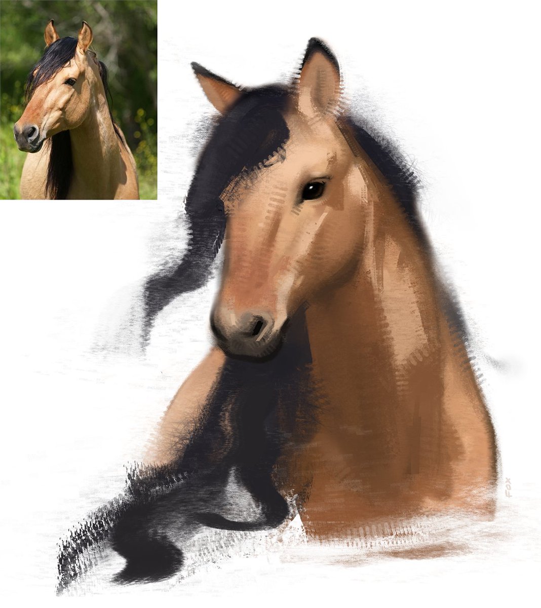 f0xlett's tweet photo. horse study

fun fact, this was the horse they used as a model for spirit: stallion of the cimarron https://t.co/5DMVfi058K