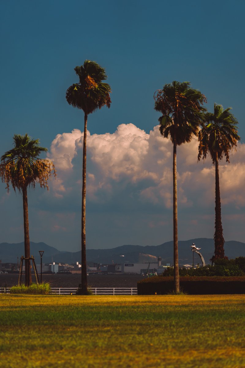 asuka_photo30's tweet photo. Summer https://t.co/G2thJyHJi6