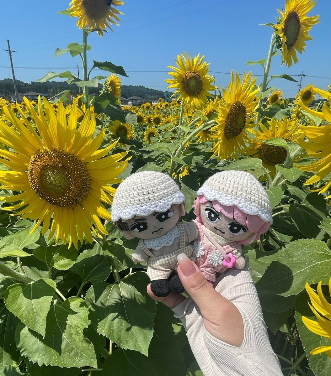 ko_j_ko's tweet photo. 昨日👦🏻👶🏻と姪っ子甥っ子連れてひまわり畑行ってきたけど暑すぎて即退散🥵
全然納得いく写真撮れんしなんならアームカバーしたまんまだし笑
リベンジしに行かねば🌻 https://t.co/PNNgTVK7wL