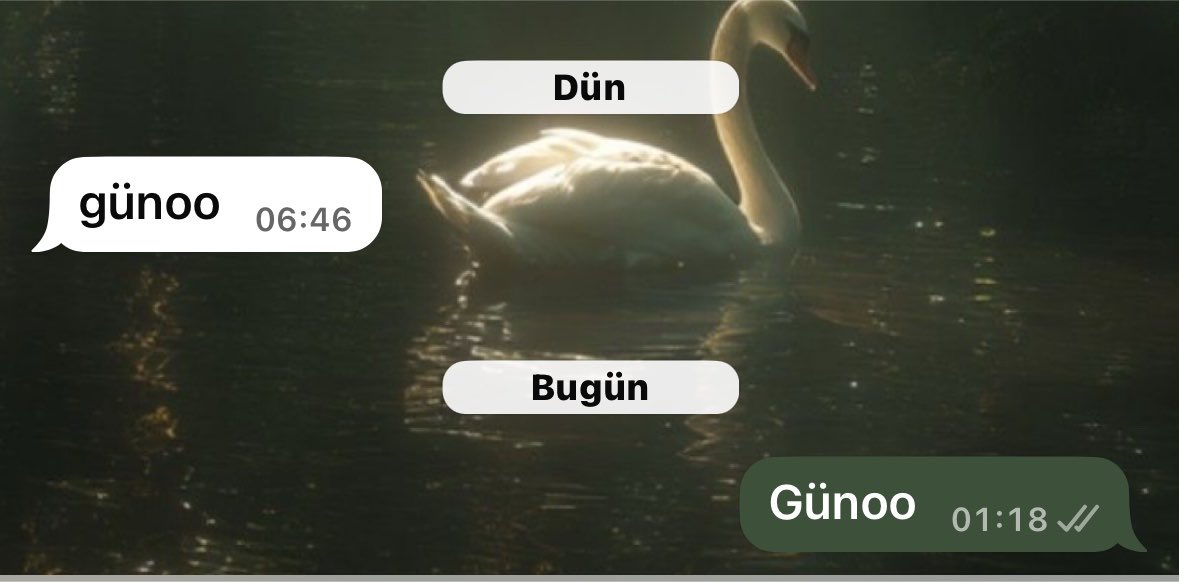 _theaysgl's tweet photo. Konu mesajlaşmak olunca bizim güvenirlilik https://t.co/gUe3EniXci