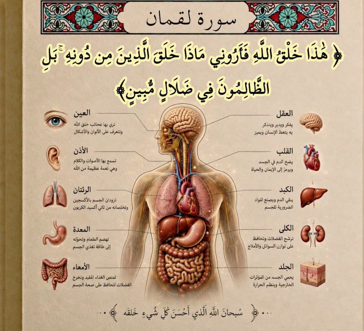 eabira3's tweet photo. ما دام قلبك ينبض دون أن تأمره، ورئتاك تتنفسان دون أن تديرهما، فاعلم أن لطف الله يحيط بك في كل لحظة
فقل سبحان الله الخالق المبدع 🤍 https://t.co/WgyV7RkWJb