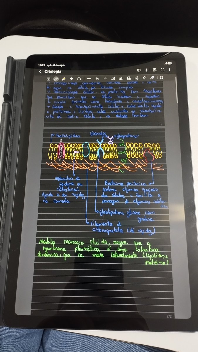 IngridS3737's tweet photo. Citologia 
🔬 https://t.co/9tvt6FK8Vw