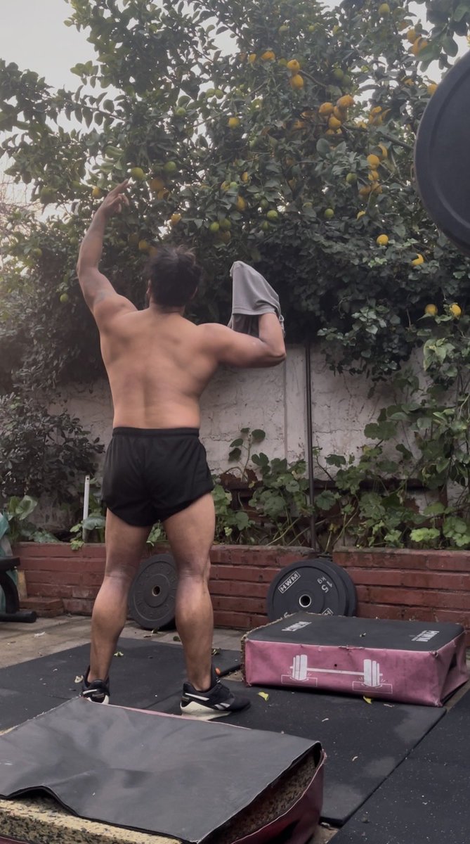 LycaonCl's tweet photo. De puro fallar el arranque
.
.
.
.
#chile #gym #muscular https://t.co/8tyYGMndTj