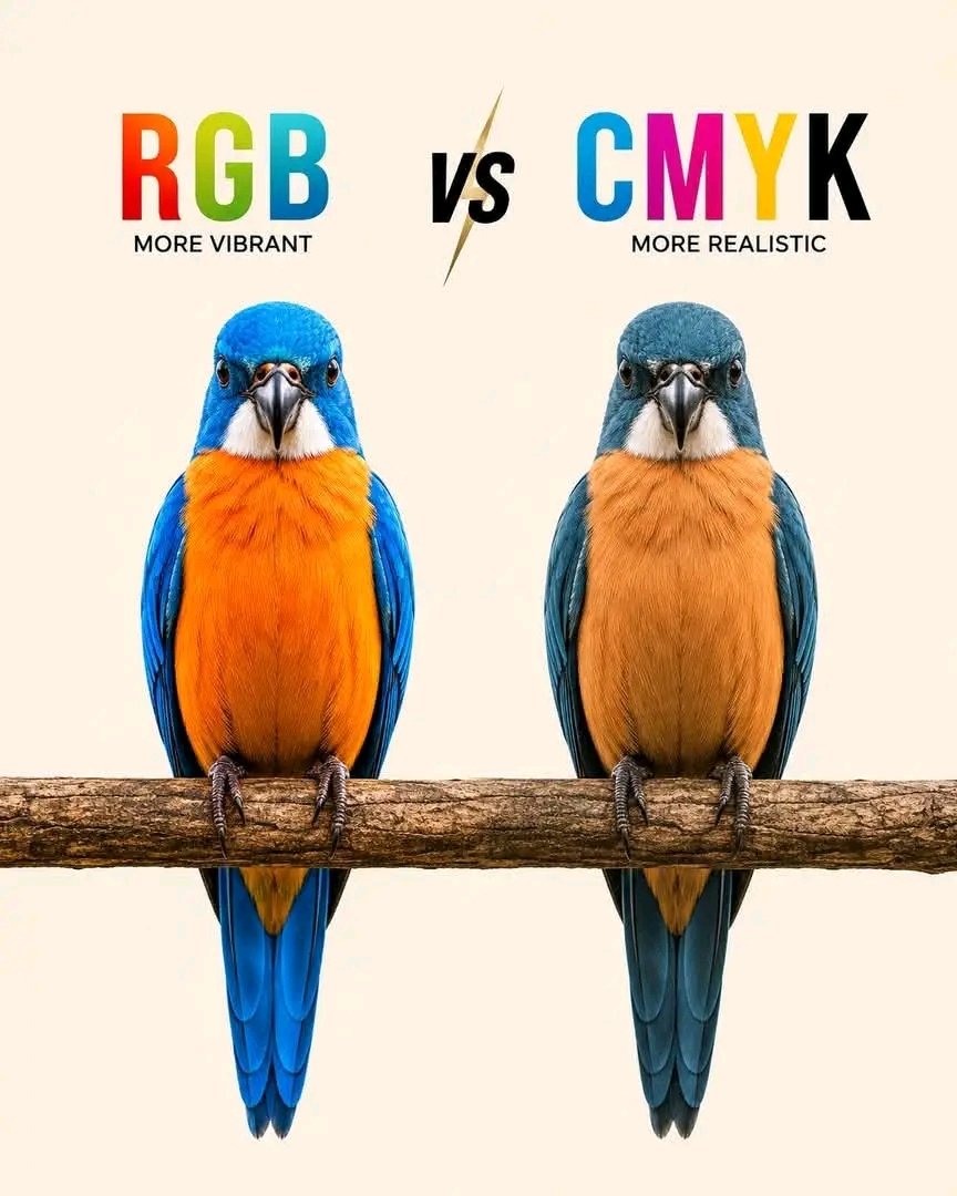 Cos_milla's tweet photo. Every color tells a story, but the right color mode ensures it's told correctly.
#KreativeMilla #graphicdesign #uiux https://t.co/HKTwIYwAAQ