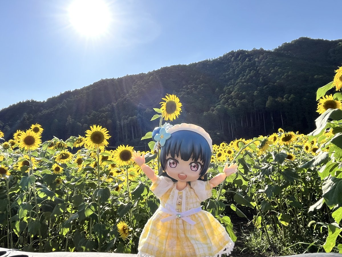 BANSHEE_02's tweet photo. みなさーん！おはよしこ😈‼️

暑い日が続きますねぇ🫠
今日も熱中症に気をつけながら程々に頑張って行きましょう(๑•̀ㅂ•́)و✧ https://t.co/dDNuzESuvO