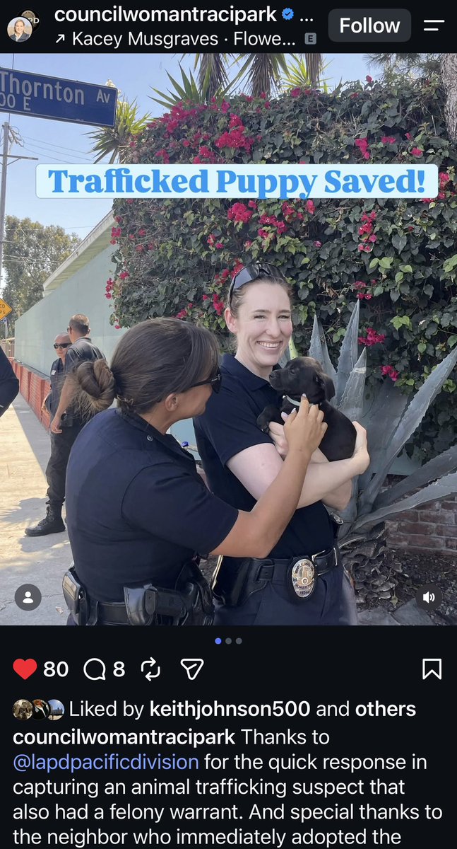 ToniaArey's tweet photo. @TraciParkforLA was in the streets today with @joey_tuccio assisting LAPD in arresting a dog trafficker who had a puppy with him- the trafficker was arrested and the puppy was adopted. 
It’s that simple. 
@LindseyPHorvath FOR ONCE, DO SOMETHING MEANINGFUL THAT’S NON-PERFORMATIVE. https://t.co/iXR0HOCYid