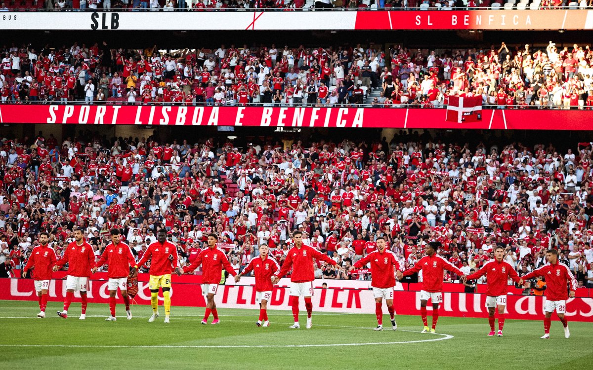SLBenfica's tweet photo. 🔴⚪ https://t.co/BXrClG1UkN