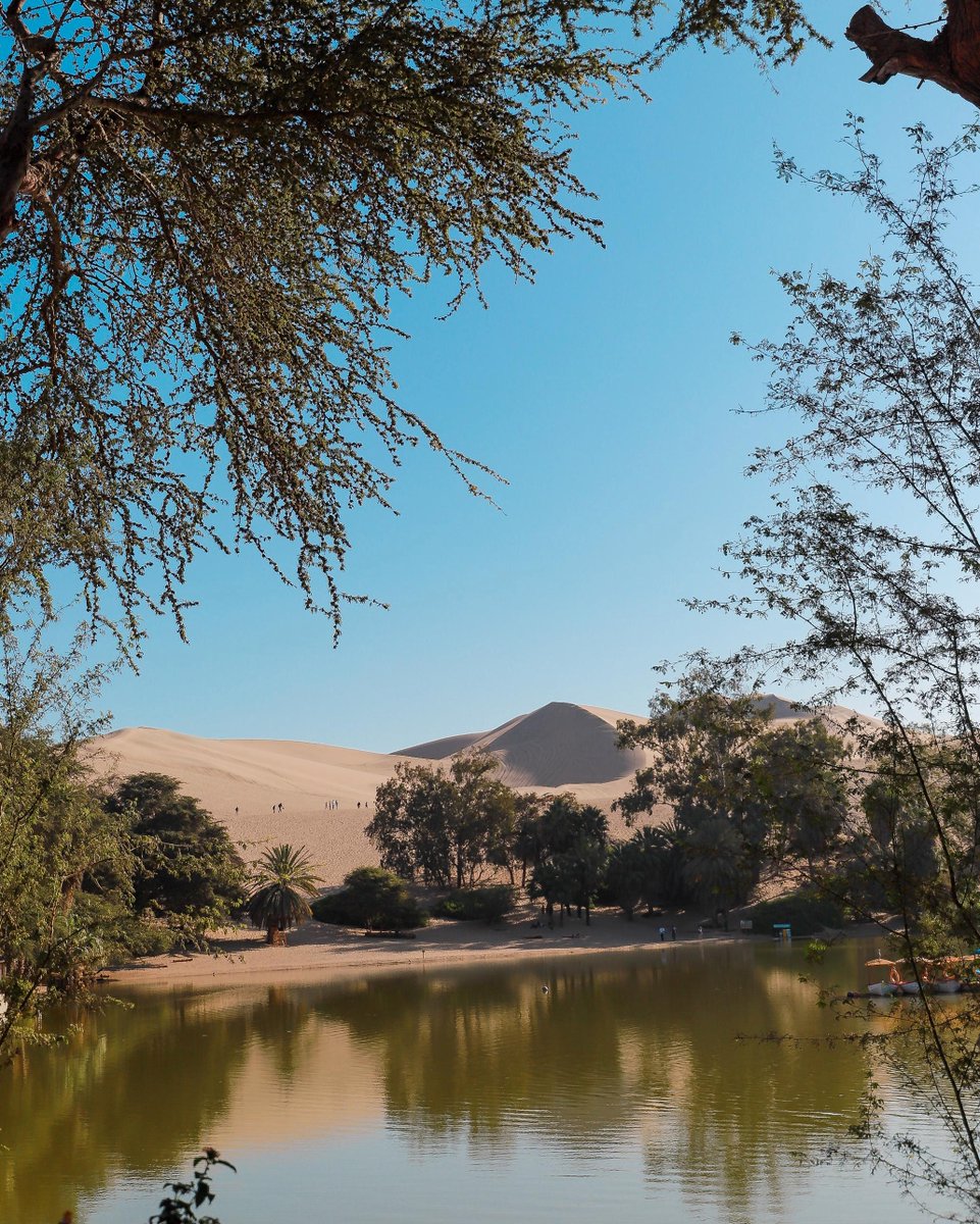 DonaldRivert's tweet photo. Huacachina, Peru [OC]
#CheapTravel https://t.co/2P8dG3kDlr