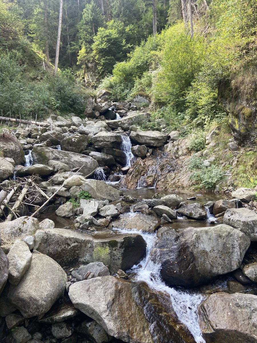 LorenzoSolinas's tweet photo. #Pellizzano #Trentino sentiero degli gnomi https://t.co/aHwUsVIRfw