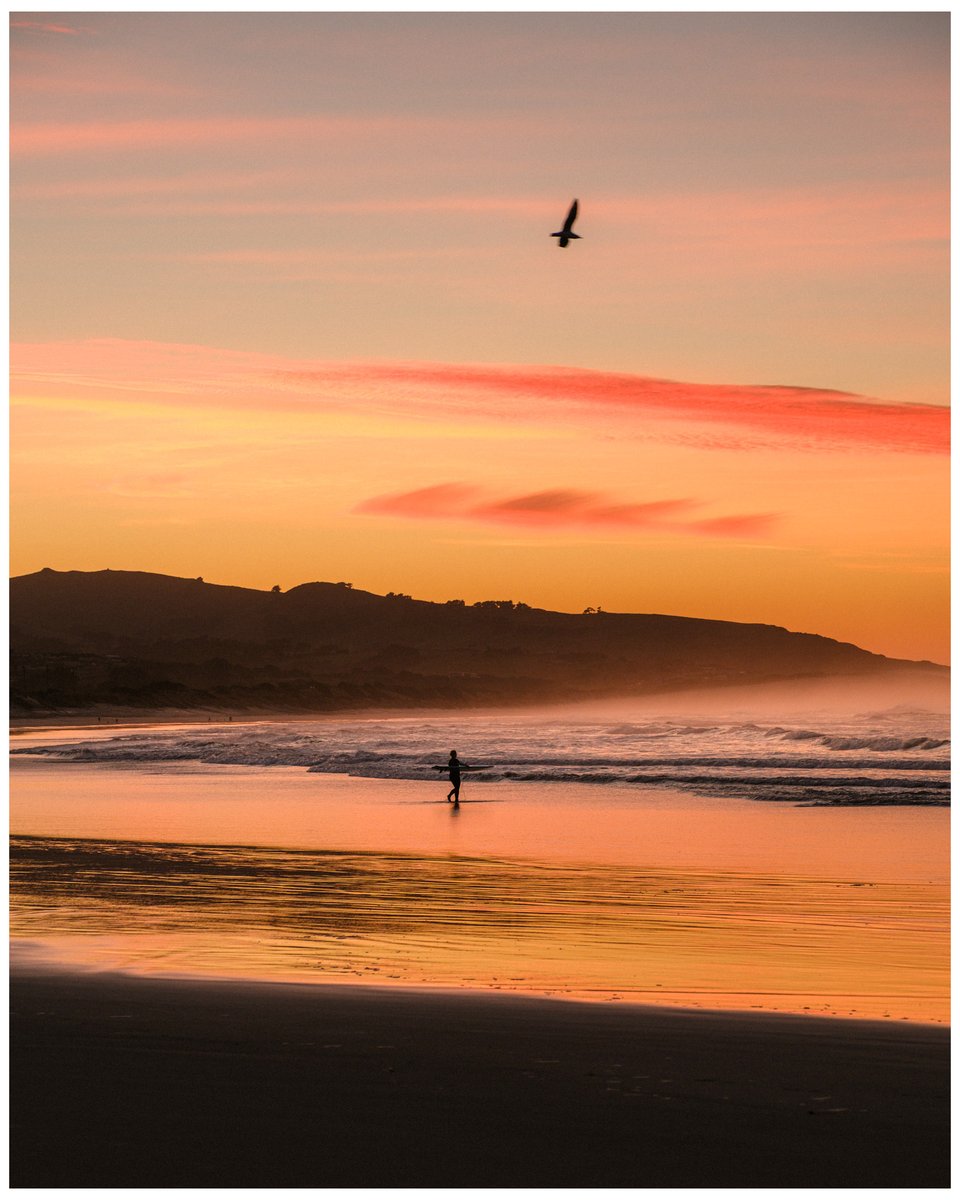 moment's tweet photo. Before you press the shutter, look for the light ☀️📷

Share your favorite photos or videos that use light in creative ways and tag us by 8/28 for a chance to win $500 in Moment gear. https://t.co/IBcjpVfOjh