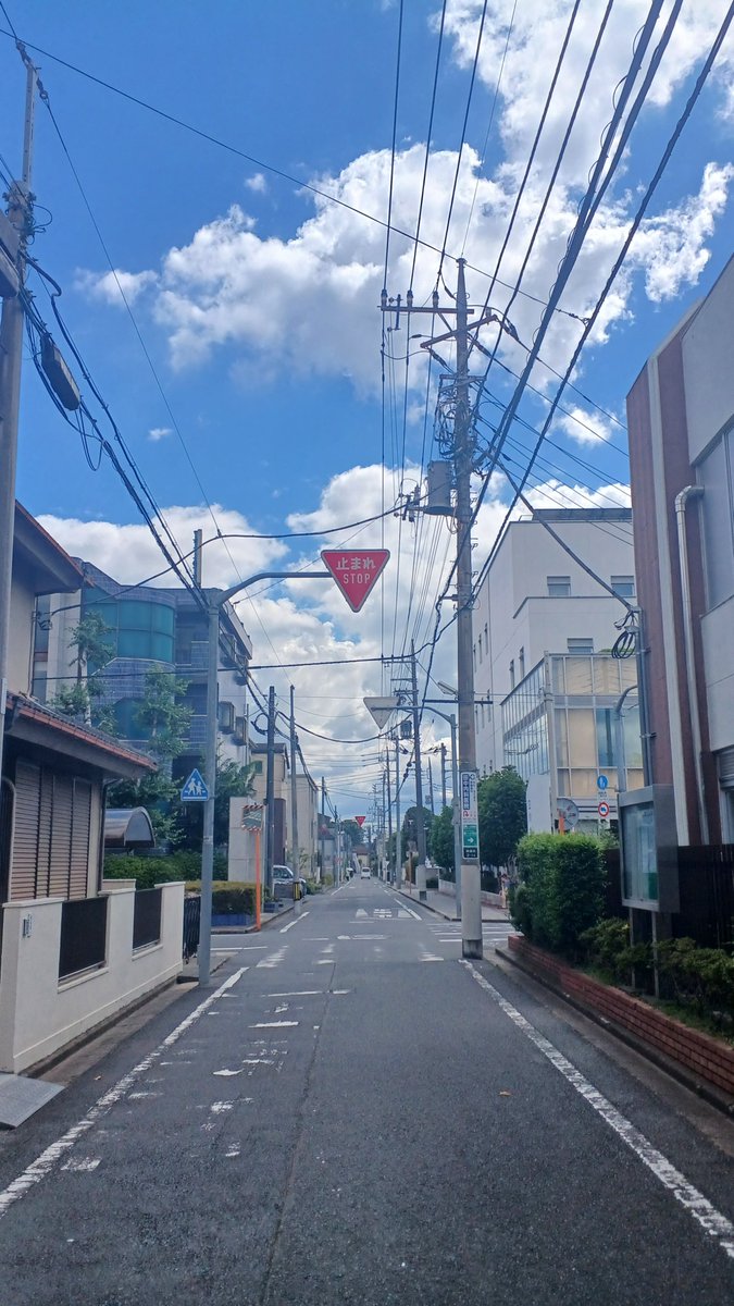 SORANONAMAEHA's tweet photo. こんな夏がとても好きです☀️ https://t.co/py4uKcKTVT