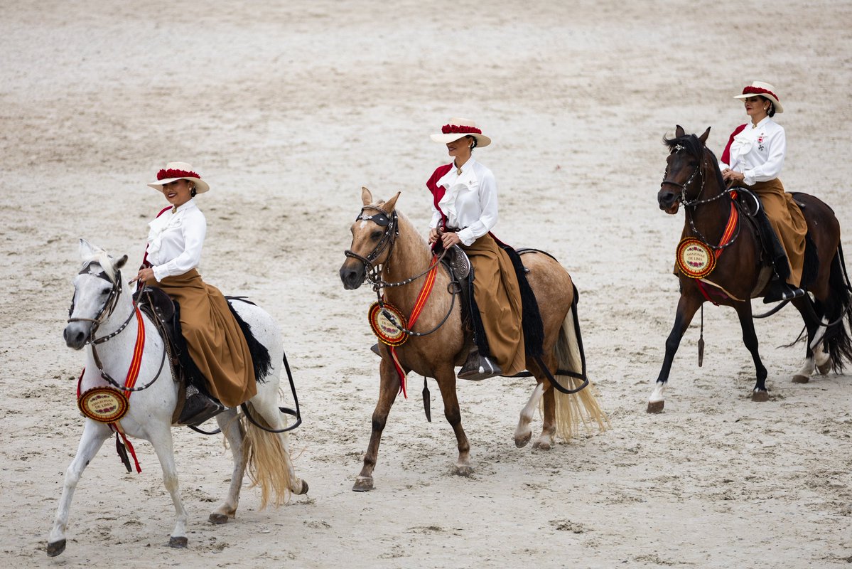 MindefPeru's tweet photo. 🐎 La jornada reunió a autoridades del Estado y de las Fuerzas Armadas, destacando el valor, la disciplina y el patriotismo que mantienen vivo el legado de los Húsares de Junín. https://t.co/Xy2m2j6V56