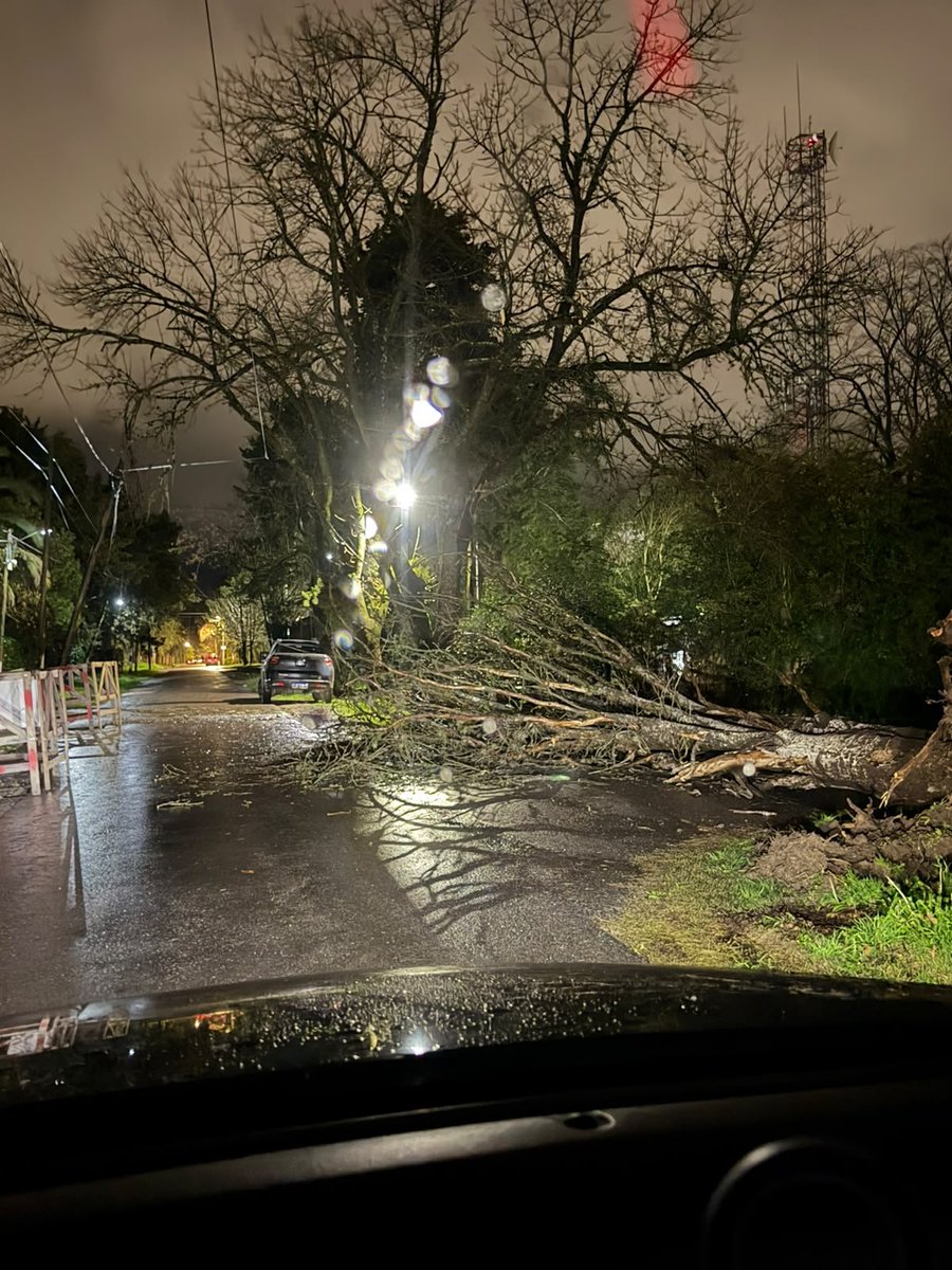 JuaniAyoroaOK's tweet photo. AHORA⚠️> Árbol caido en 23 y 465, City Bell. Evitar la zona. 
#LaPlata #CityBell #viento #tormenta https://t.co/VcecOPLbff