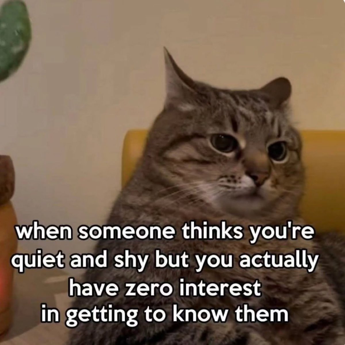 literallymecats's tweet photo. https://t.co/SMahuE5Uyh